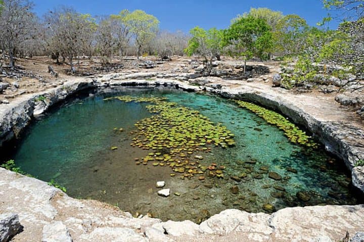 סיור חופי: פלאי פרוגרסו עם חוף, אוכל ושתייה