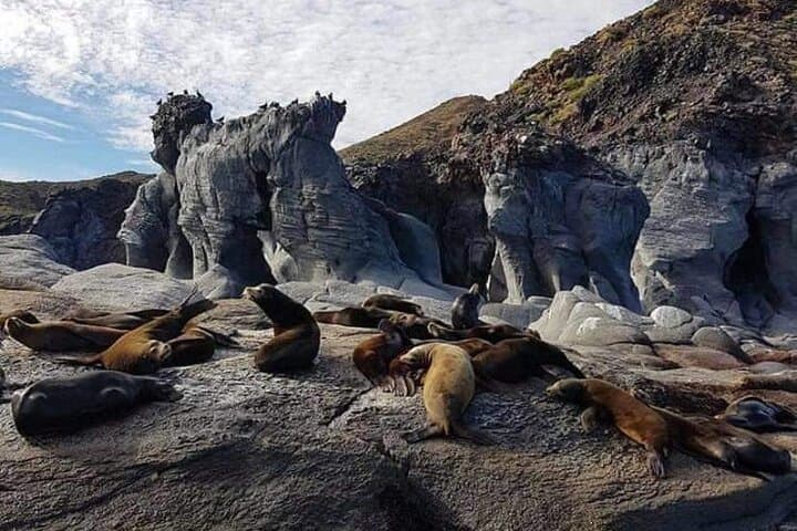 אתר מורשת עולמית של אונסקו: הרפתקת יום אחד באי קורונדו מלורטו.