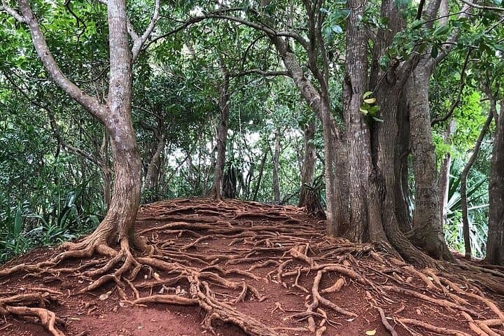 סיור יום מלא במאוריציוס: פרטי של דרום מערב עם ארוחת צהריים.