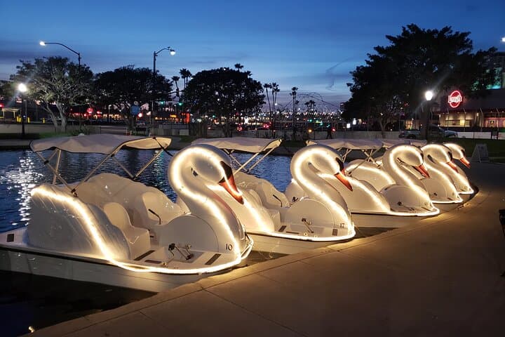Swan Boat Rental at Rainbow Lagoon in Long Beach