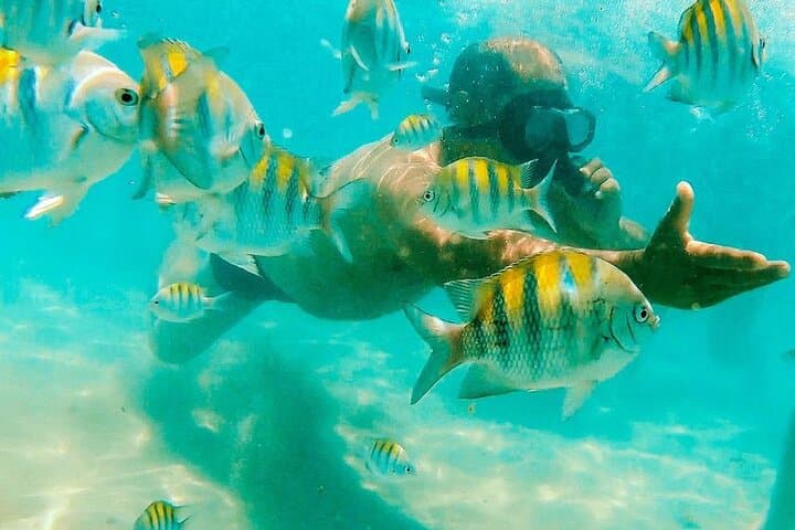 סיור קאטרמן לבריכות הטבעיות של סייקס