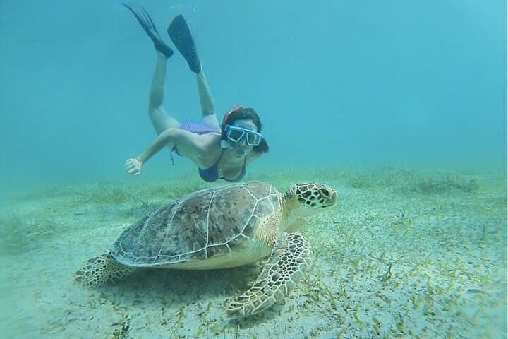 Snorkeling Tour to Vieques Island only 30 minutes away!