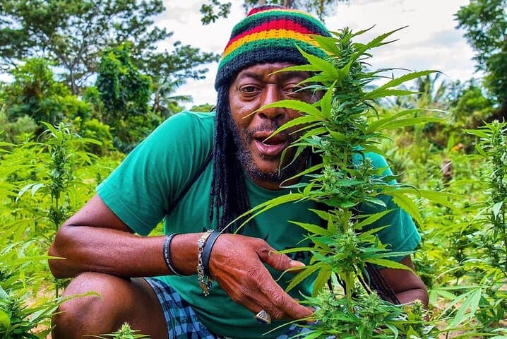 חוויית קהילה של רכבי שטח תרבותית של ראסטפארי ממונטגו ביי