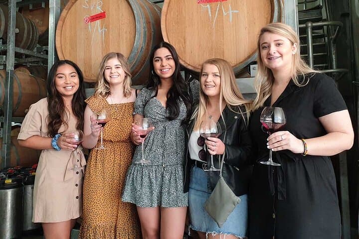 סיור יין בעמק האנטר מהאזור עם יין, בירות בעבודת יד, גבינות ושוקולדים.