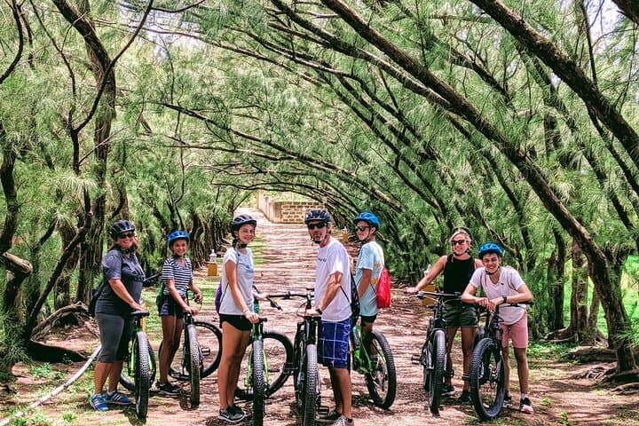 Barbados E-Bike Sightseeing Tour (Transport Included)