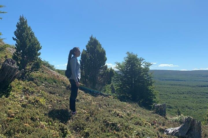 סיור במערך הלאומי מגלנס ובערים פונטה ארנס