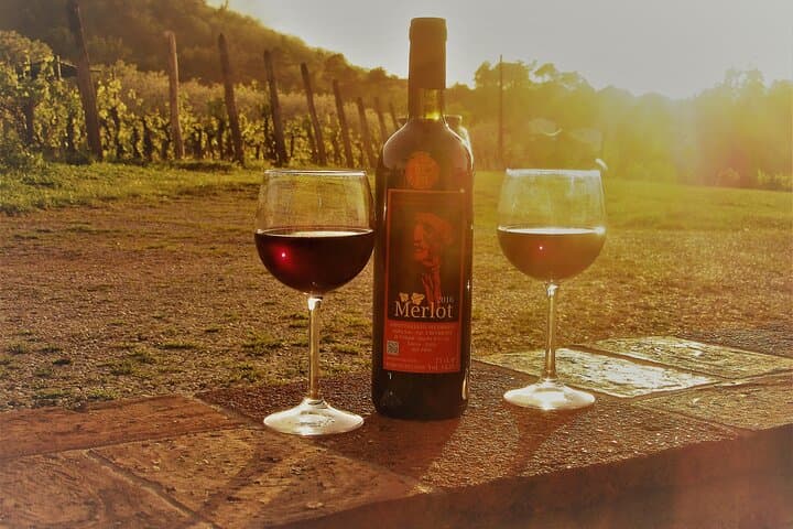 סבב אופניים חשמליים מודרך עם טעימות יין מלוקה