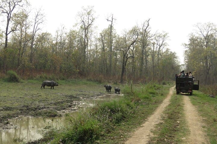 Private Jeep Safari (8-10 hrs.)inside Chitwan National Park.