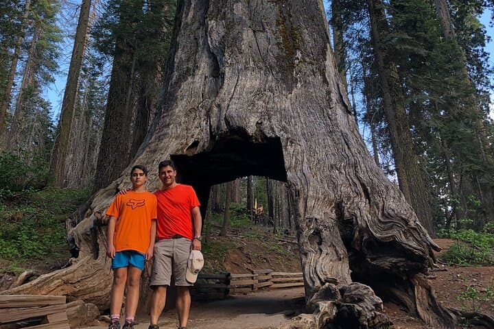 טיול גלו את עמק יוסמיטי