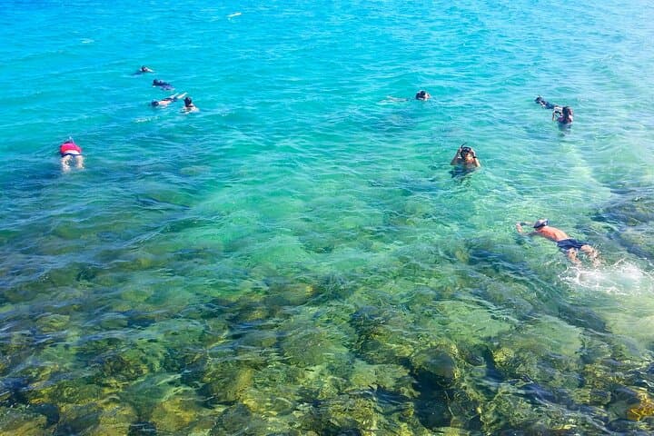 Gold Coast Kayaking & Snorkelling Tour (2.5 Hours)