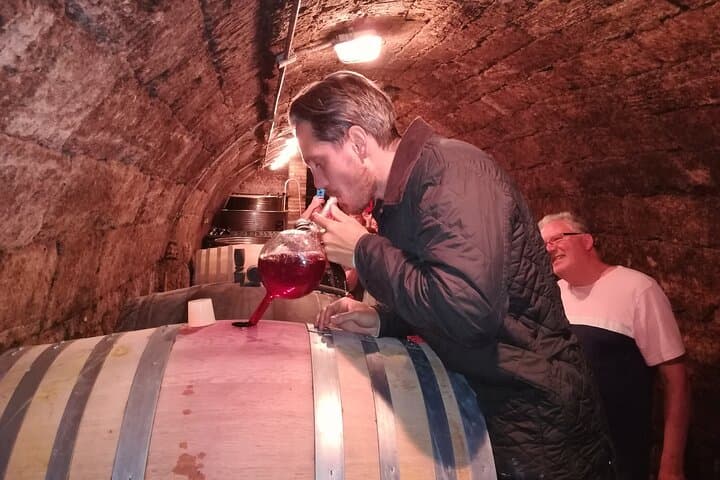 Countryside Half-day Gastro & Wine Tours near Budapest with Meal