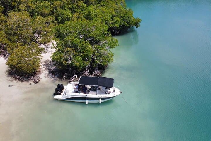 יום גילוי באמבטיה של ג'וזפין בצד הנושף