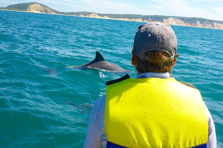 Rainbow Beach: Dolphin & Wildlife Ocean Kayak & Beach 4WD Tour