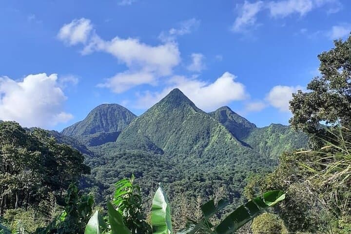 טיול חצי יום בטבע ובנופים במרטיניק