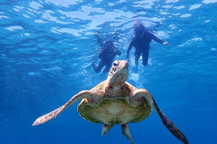 Okinawa Miyakojima Half Day SUPor Canoe & Sea Turtle Snorkeling (Half Day Set)