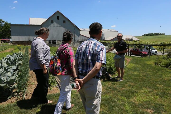 סיור וארוחה אותנטית עם האמיש!