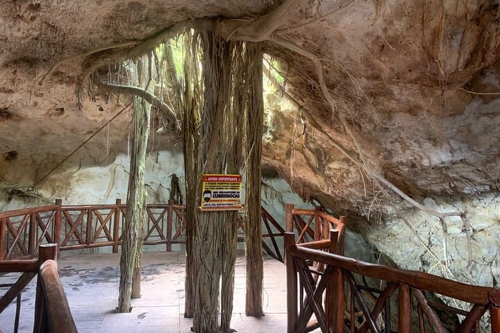 סיור הרפתקאות בצלילה