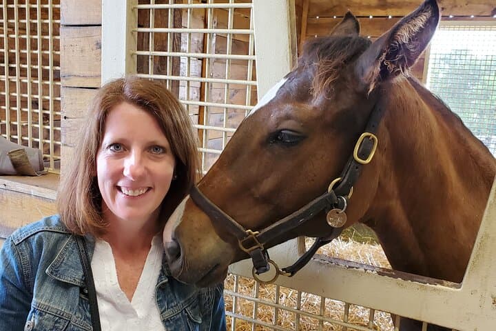 סיורי חוות סוסים ייחודיים עם גישה פנימית לחוות פרטיות