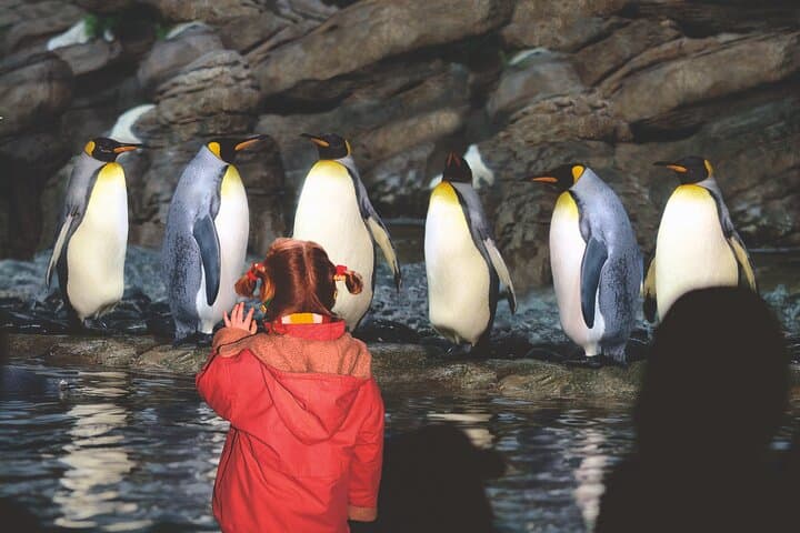 כרטיס כניסה ישיר לגן החיות רוטרדם דיירגארדה בליידורפ