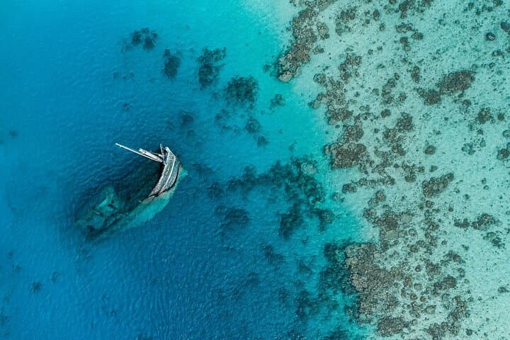 מאפושי: שנורקלינג בספינה טרופה עם כרישי אחות וצפייה בדולפינים