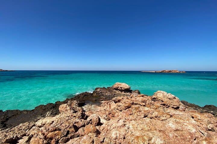 Snorkeling at Dimaniyat Islands and Dolphin Watching (Half-Day)