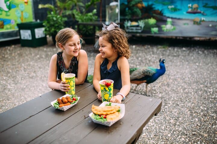 הרפתקת סירת האוויר בביצות פלורידה encounter של חיות הבר