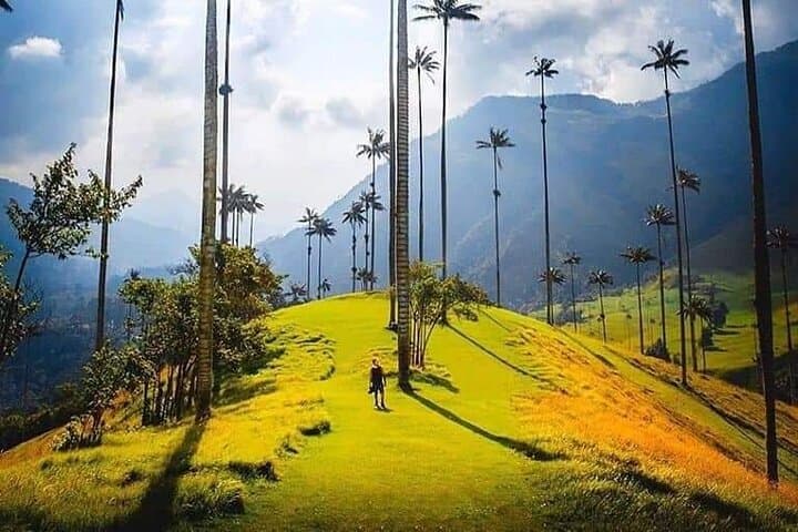 סיור יום בעמק קוקורה, סלנטו וחוות קפה