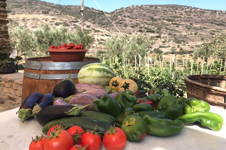 טעימות יין וסיור בבית היין סנט אנה בנקסוס