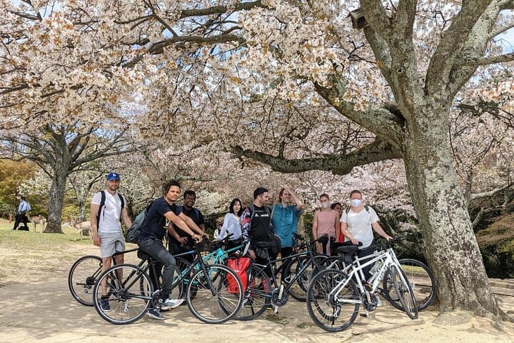 Nara - Heart of Nature Cross Bike Tour