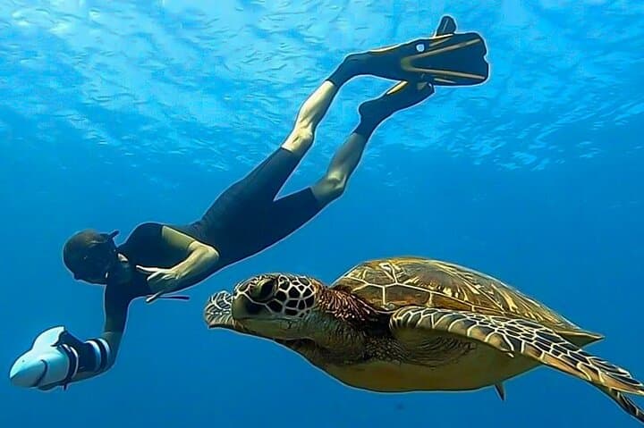 סיור שנורקלינג עם סקוטר ימי - ספארי אוקיינוס מונחה + הרפתקת שוניות ולגונה