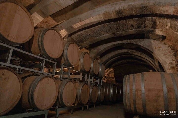 טעימת יין ואוכל ביקב משפחתי אורגני