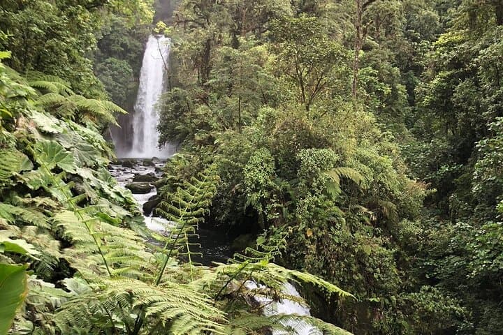 סיור יום בהר געש פואס, קפה דוקה ומפלי השלום