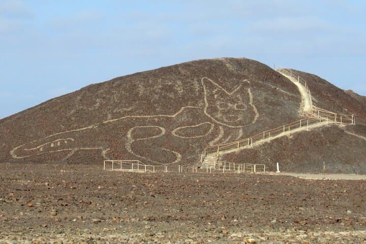 סיור קווי הנזקה ביבשה