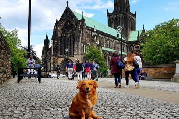 טיולי הליכה עם גלאנדר בגלזגו