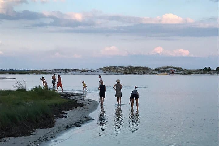 שיט דולפינים פרטי של 3 שעות בסירת מנוע עם עצירה בחוף מרוחק עד 6 אורחים