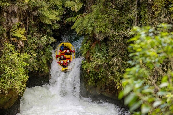 Rafting Rotorua Kaituna White Water Rafting | Kaitiaki Adventures