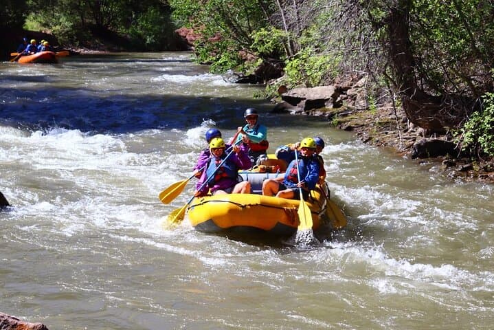 Telluride ~ "Half-Day" Rafting Lower San Miguel River 