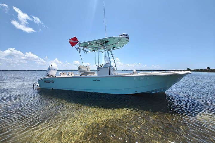 סיור פרטי לצפייה בדולפינים במשך שעתיים בחוף פנמה סיטי