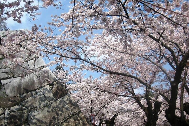 סיור פרטי במוריאָקה למשך יום מלא עם מדריך מורשה מטעם הממשלה