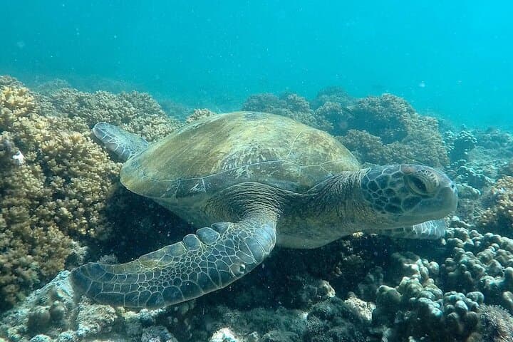 טיול לאי רוח הקודש