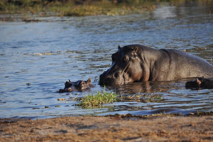 2 לילות 3 ימים מסלול מוקורו לינת לילה בדלתה של אוקוונגו