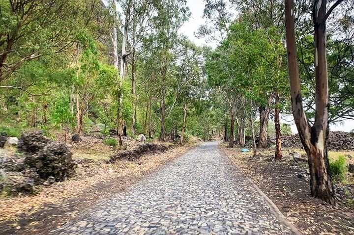 טיול יומי מלא מסאו פיליפה עם מטע קפה ובריכות טבעיות