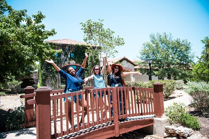 שאטל יין של חצי יום מאוסטין