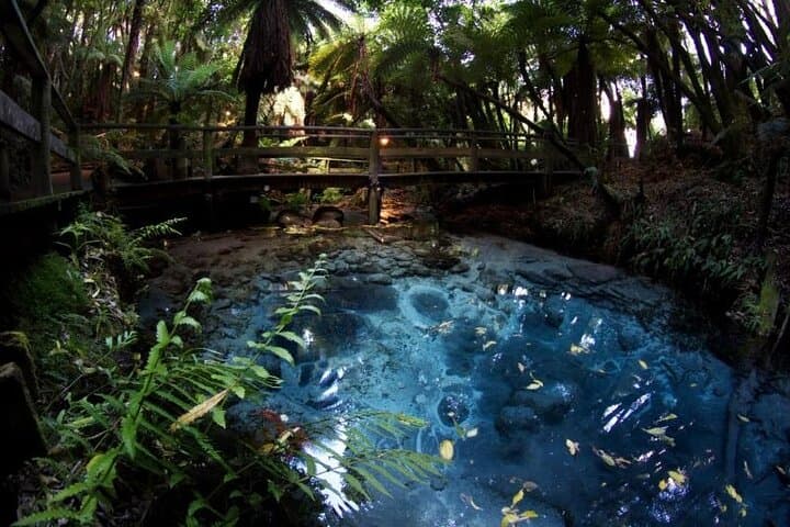 חוויה תרבותית בכפר מיטאי מאורי ברובורואה.