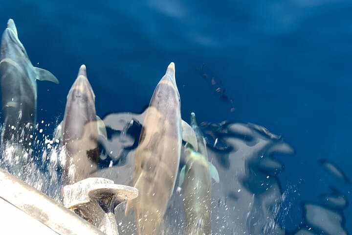 שייט פאר לראות את אתוס עם גלאסבוטום