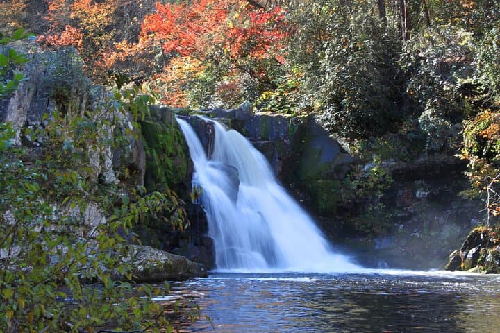 סיורי נהיגה עצמיים בהרי סמוקי הגדולים ובקיידס קוב