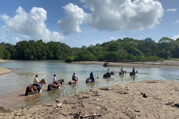 Jungle and Beach Horseback Riding Tour - 2H 1/2