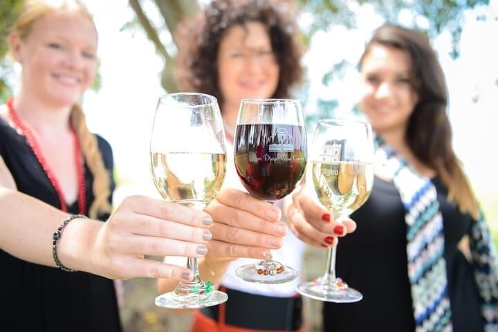 הרפתקה עם נהג לכרמים המקומיים בסן דייגו