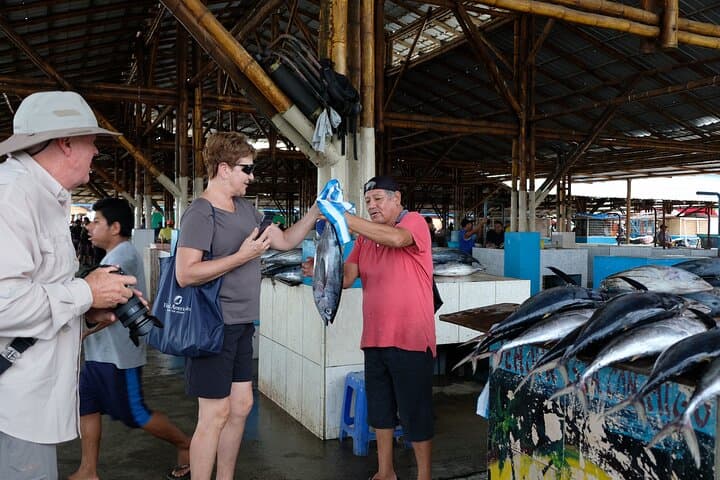 מונטקריסטי ויער הגשם.