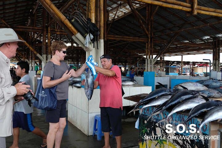 הדגשים של מנדה וכובעי מונטקריסטי